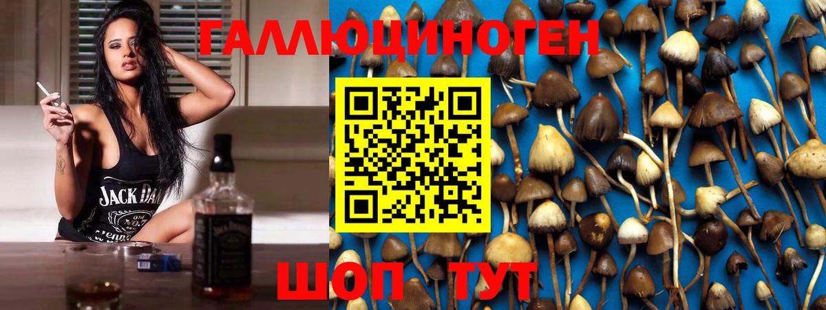 Галлюциногенные грибы MAGIC MUSHROOMS  Вход с VPN  Углич 