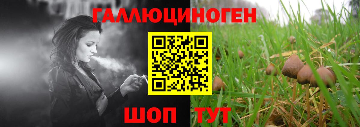 Галлюциногенные грибы Cubensis Углич